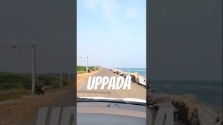 Uppada Beach and Village Culture travel exploreandhra uppada spmtravelvlogs fishing [upl. by Aldred787]