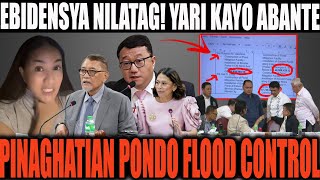 EBIDENSYA NILATAG PAGKULINMBAT 200 BILYON PONDO FLOOD CONTROL PINAGBILI LUHO ABANTE CHUA QUIMBO [upl. by Bette502]