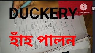 SHG business plan Duckery হাঁহ পালন আত্ম সহায়ক গোটৰ Frm Fillupshg duckery business plan [upl. by Anirehtac]