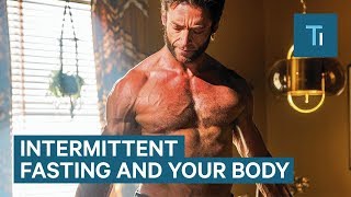 How Intermittent Fasting Affects Your Body and Brain  The Human Body [upl. by Tempa116]