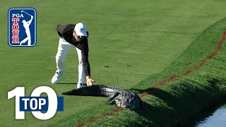 Top 10 Animal Encounters on the PGA TOUR [upl. by Candace]