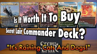 Is It Worth It To Buy A Secret Lair Commander Deck  Raining Cats And Dogs  Magic The Gathering [upl. by Annette]