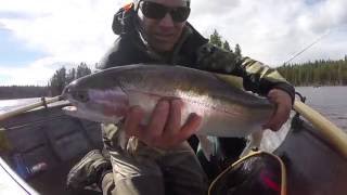 Fly Fishing Chironomid Stillwaters BC [upl. by Kenon]