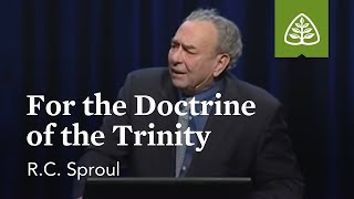 RC Sproul For the Doctrine of the Trinity [upl. by Mw]