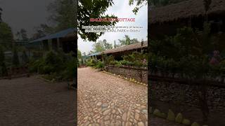 Simlipal Eco Cottage Resort Simlipal National ParkOdisha simlipalecocottage simlipalnationalpark [upl. by Llerrud]