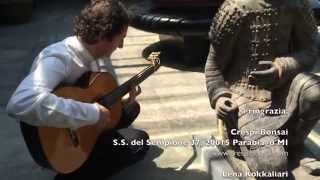 Crespi Bonsai Museum Claudio Tumeo guitar  Summertime [upl. by Knowle]