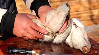 STEAMED Giant GEODUCK Best SEAFOOD Ever Crisp and Sweet  Uncle Rural Gourmet [upl. by Sivolc]