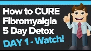 FIBROMYALGIA 5 DAY DETOX  Day 1  Cure NATURALLY [upl. by Esertap432]