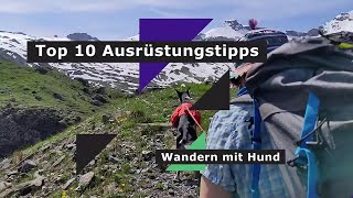 Wandern mit Hund Top 10 Ausrüstungstipps [upl. by Aleb]