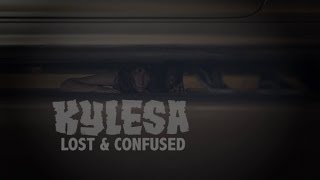 Kylesa  Lost and Confused Official Video [upl. by Killam]