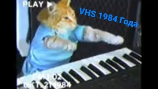 Keyboard cat в стиле 1984 VHS [upl. by Mond871]