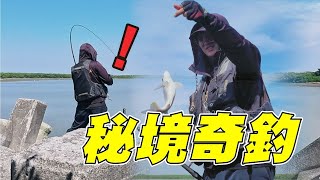 秘境奇釣 釣魚還要會釣網子︱磯釣︱阿波︱全游動︱ [upl. by Wise]