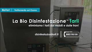 La Bio Disinfestazione dei Tarli del legno [upl. by Grubb]