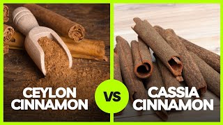 WHAT IS COUMARIN We Find the HEALTHIEST CINNAMON BRAND ceylon cassia [upl. by Ahseital917]