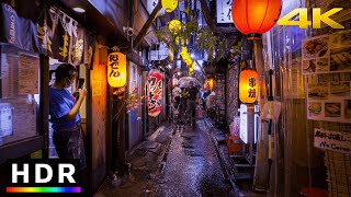 Tokyo Rainy Night Walk in Shinjuku  4K HDR Spatial Audio [upl. by Eimot918]