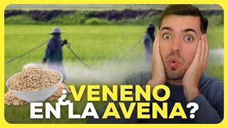 Los 6 MOTIVOS que te ALEJARÁN de la AVENA [upl. by Bully]