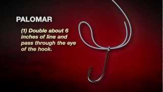 How To Tie The Palomar Knot In 4 easy steps [upl. by Perloff]