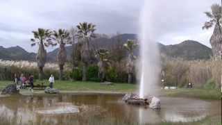 Old Faithful in Napa Valley  Calistoga California [upl. by Aihsrop139]