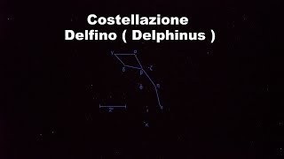 Video della costellazione Delfino  Delphinus  con una meteora [upl. by Jordanna]