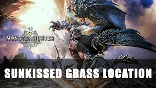 MHW Sunkissed Grass Location [upl. by Idham]