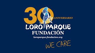 30th Anniversary of Loro Parque Fundación [upl. by Eineg]