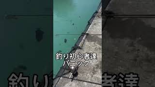 【沖縄】釣った魚がデカすぎてパニックになる釣り初心者（釣りあるある） 【もとぶ元気村】沖縄本島 生き物 生物 釣り堀 観光 旅行 おでかけ 本部町 熱帯魚 レジャースポット [upl. by Yrrok684]