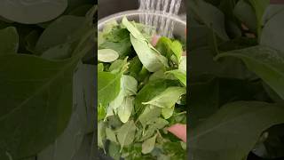 Wolfberry leaves vegetable cuttingskills vegetablecarving cuttingvegetable cuttinggarden [upl. by Xonel]