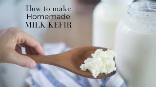 How to Make Milk Kefir [upl. by Garnes]