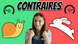 Mots Contraires  Animaux  Vidéo éducative en français pour enfants [upl. by Angele]