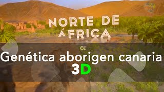 Genética aborigen canaria  3D [upl. by Letsirhc839]