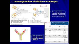 11 IMMUNOLOGIE S5  Molécules du SI  Anticorps [upl. by Espy752]