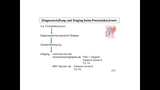 Diagnosestellung und Staging beim Prostatakarzinom  Strahlentherapie Prof Hilke Vorwerk [upl. by Aikemal]