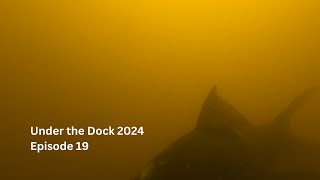 Under the Dock 2024 Episode 19 [upl. by Mann126]