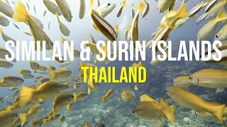 Similan amp Surin Islands  Thailand Liveaboard Diving Sony FX3 [upl. by Aldos]