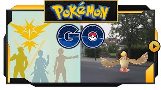 Pokémon GO  PvP battles please  02 [upl. by Larson669]