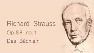 Strauss Das Bächlein op 88 no 1 [upl. by Aciraj887]