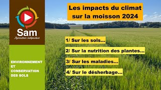 Bilan de la météo sur la moisson 2024 Quels impacts sur les sols les plantes et le désherbage [upl. by Ma]