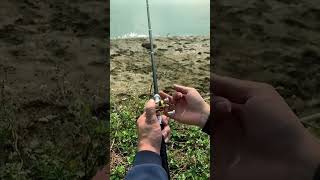 Fishing Angling CatchAndRelease FishingLife FishingTips FishingGear OutdoorAdventure fishing [upl. by Allene]