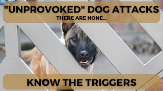 There Are NO Unprovoked Dog Attacks [upl. by Aneeras]