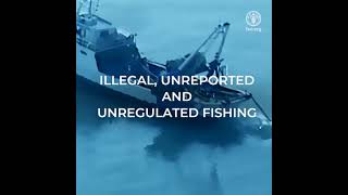 25 years of FAO’s Code of Conduct for Responsible Fisheries [upl. by Ahaelam855]