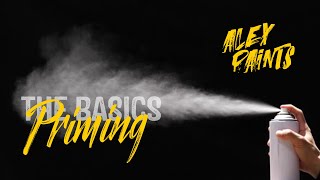 How to Prime Your Miniatures  Everything you need to know [upl. by Hibben]