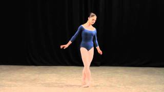 Insight Ballet Glossary  Arabesques [upl. by Longan]