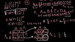 How to find how many alleles control a trait [upl. by Erland]