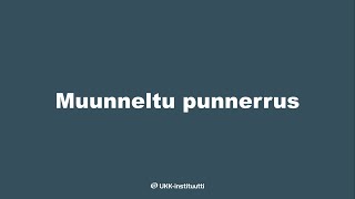 Muunneltu punnerrus testin ohjevideo [upl. by Renckens]