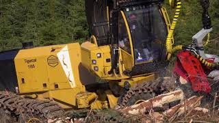 Tigercat 1185 Harvester in Scotland [upl. by Dorri]