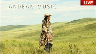 Andean music ⛰️🎶 live concert AlpaMusic [upl. by Mellette]