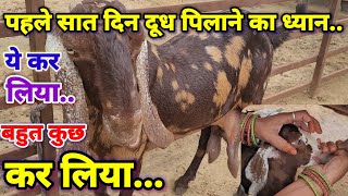 छोटे बच्चो को दूध कैसे पिलाए kids fidding tipsSukant chawlagoat farming [upl. by Forward18]