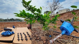 Micro drip Irrigation System Using Harvested Rainwater for Garden amp Farm  DIY irrigation system [upl. by Evilo201]