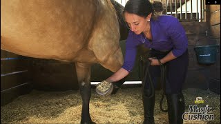 Magic Cushion  How It Works How to Apply It amp How Magic Cushion Hoof Packing Helps Your Horse [upl. by Wini]