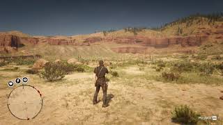 115 Desert Bighorn Ram location RDR2 [upl. by Stormie]